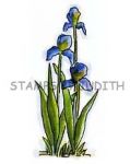H-222 Iris Bunch